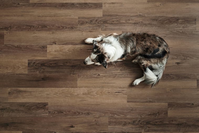 Mannington flooring 3D visualization